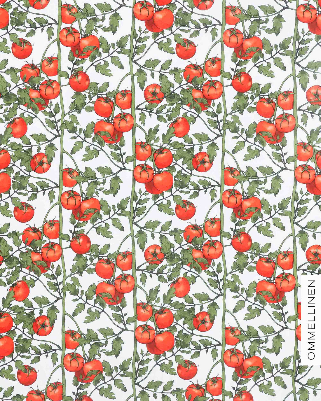 Jersey, Tomatoes - white