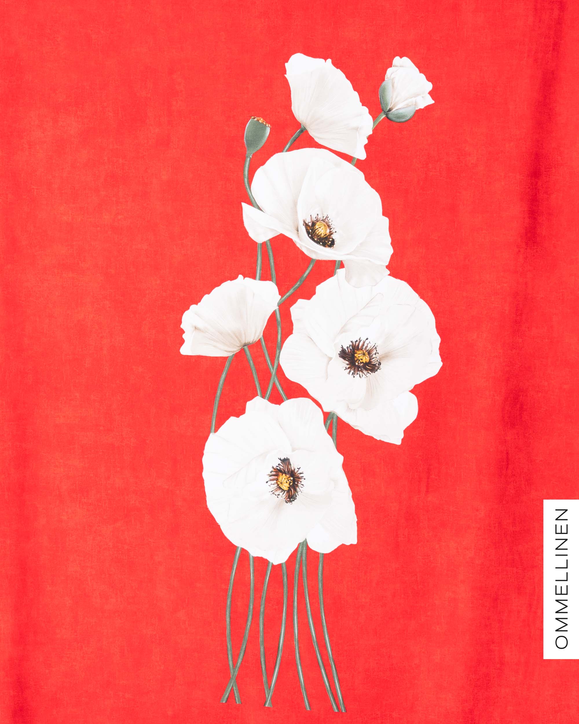 Jersey, Yökukka RAPPORT - red