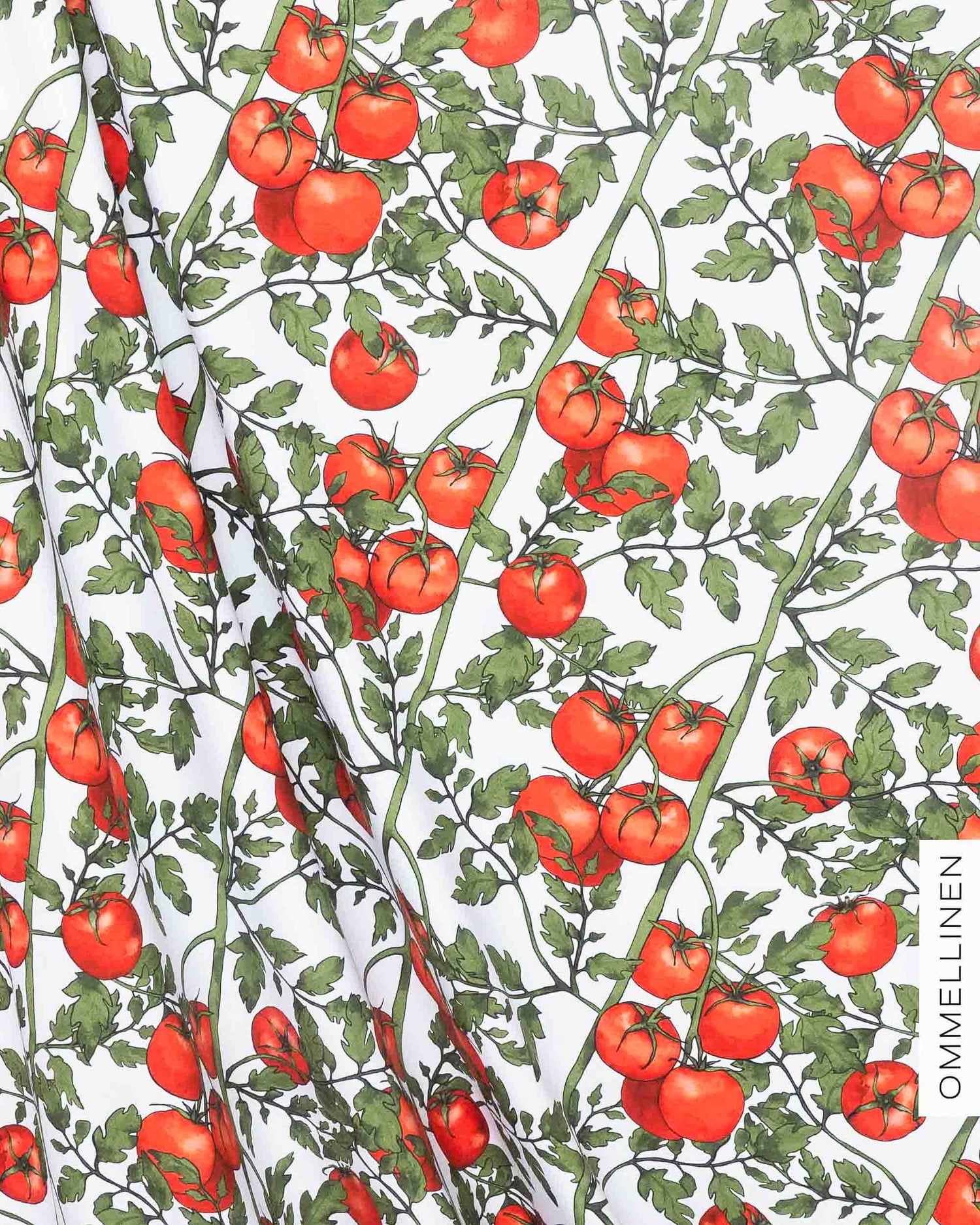 Jersey, Tomatoes - white