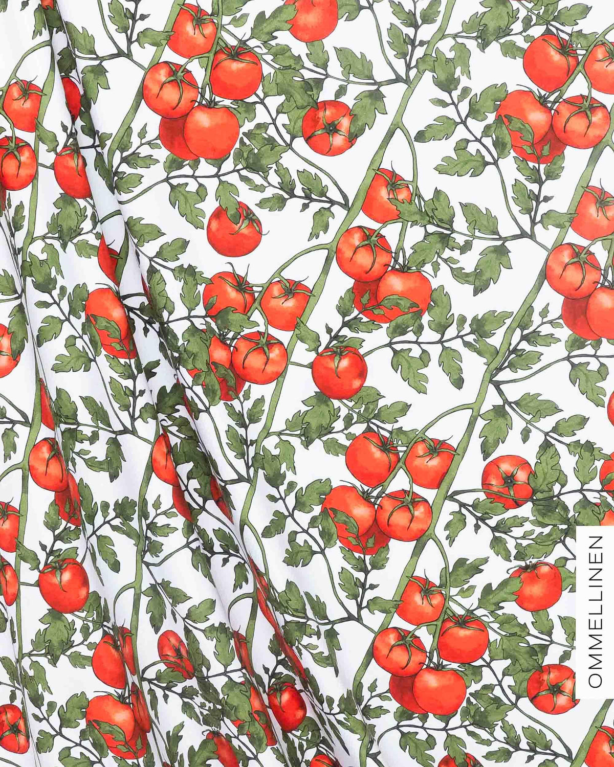 Jersey, Tomatoes - white