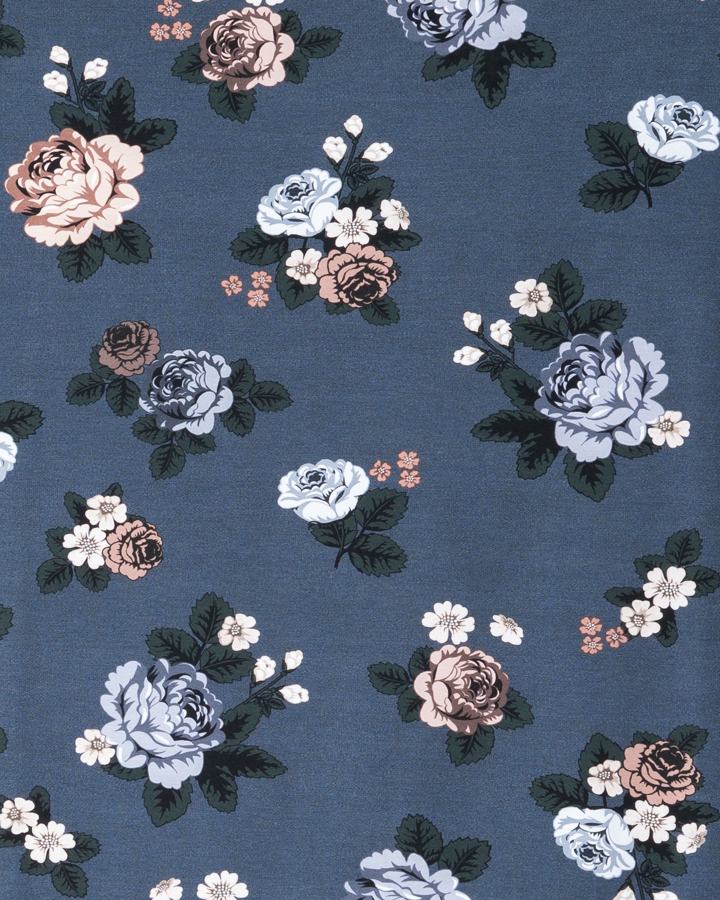 French terry, Babushka Roses - blueberry