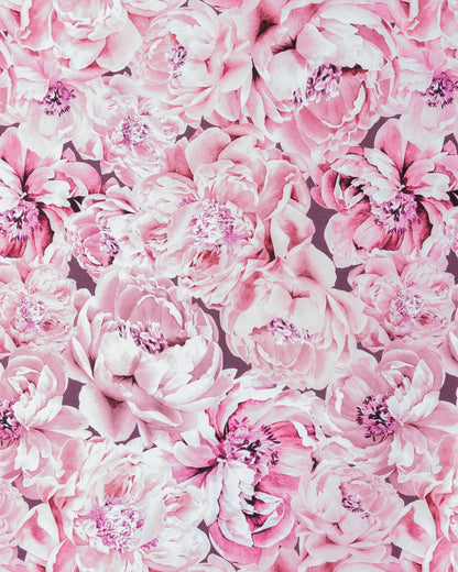 French terry, Ikuisuus - light pink